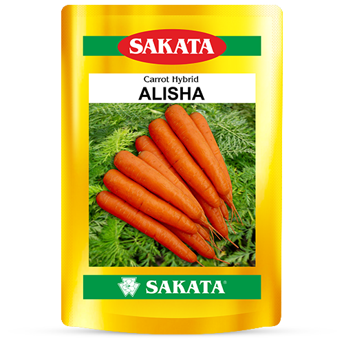 F1 Alisha