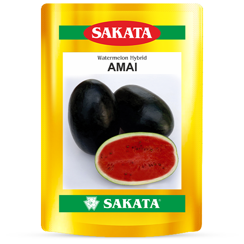 F1 Amai