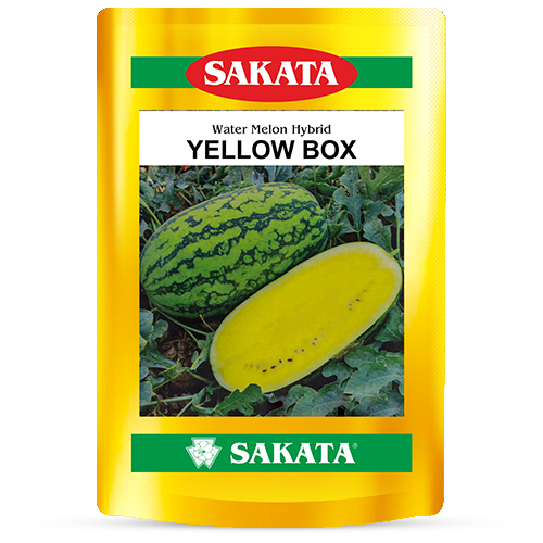 F1 Yellow Box