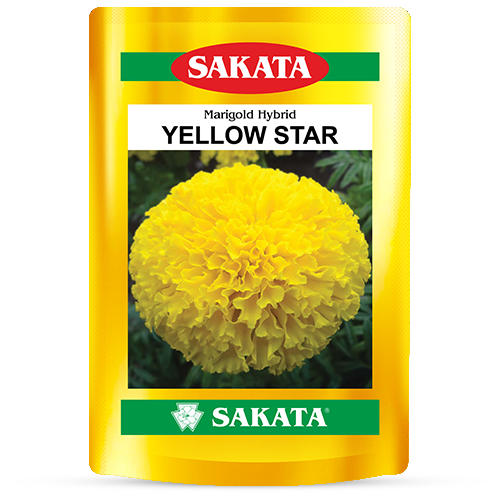 F1 YELLOW STAR