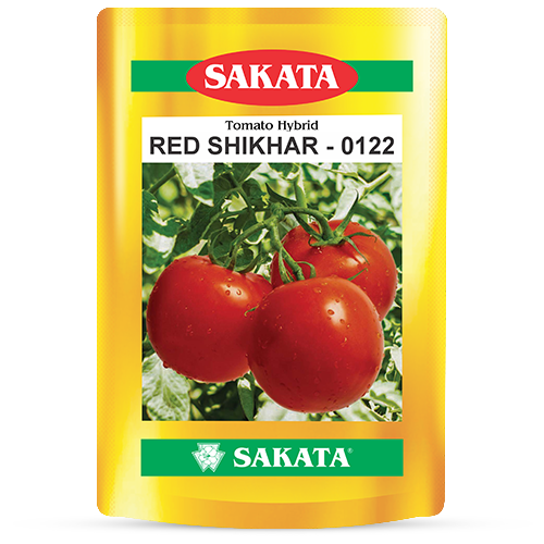 F1 Red Shikhar 0122