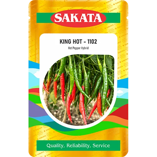 F1 KING HOT 1102