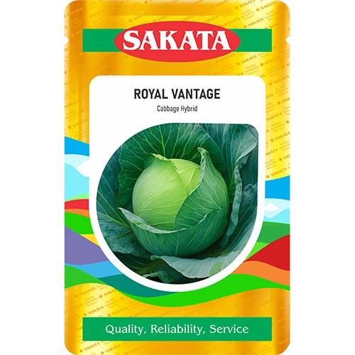 F1 Royal Vantage