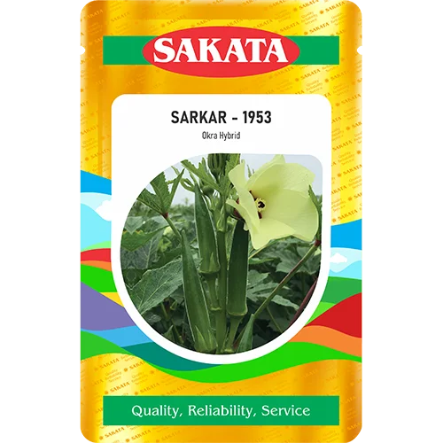 F1 Sarkar 1953