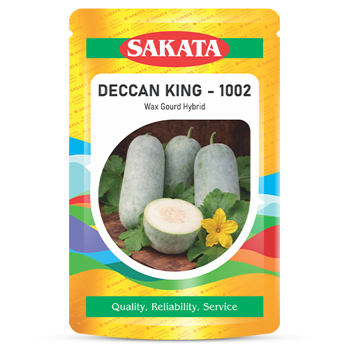 F1 Deccan King 1002