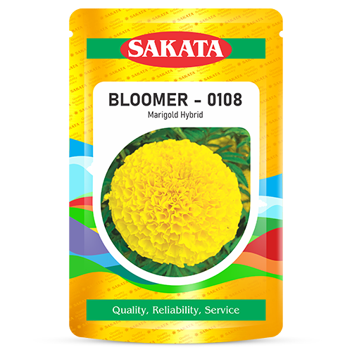 F1 Bloomer 0108