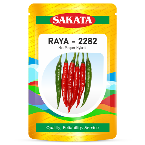 F1 Raya 2282