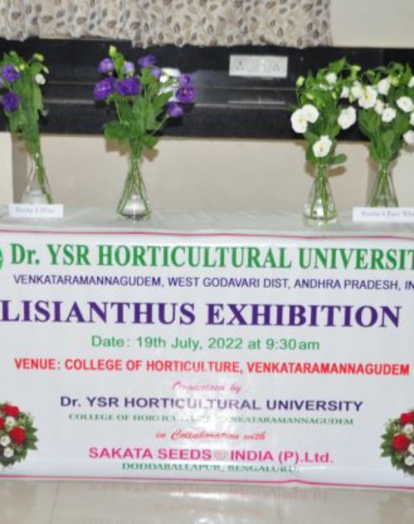 Sakata Seed India at the Lisianthus Day Program