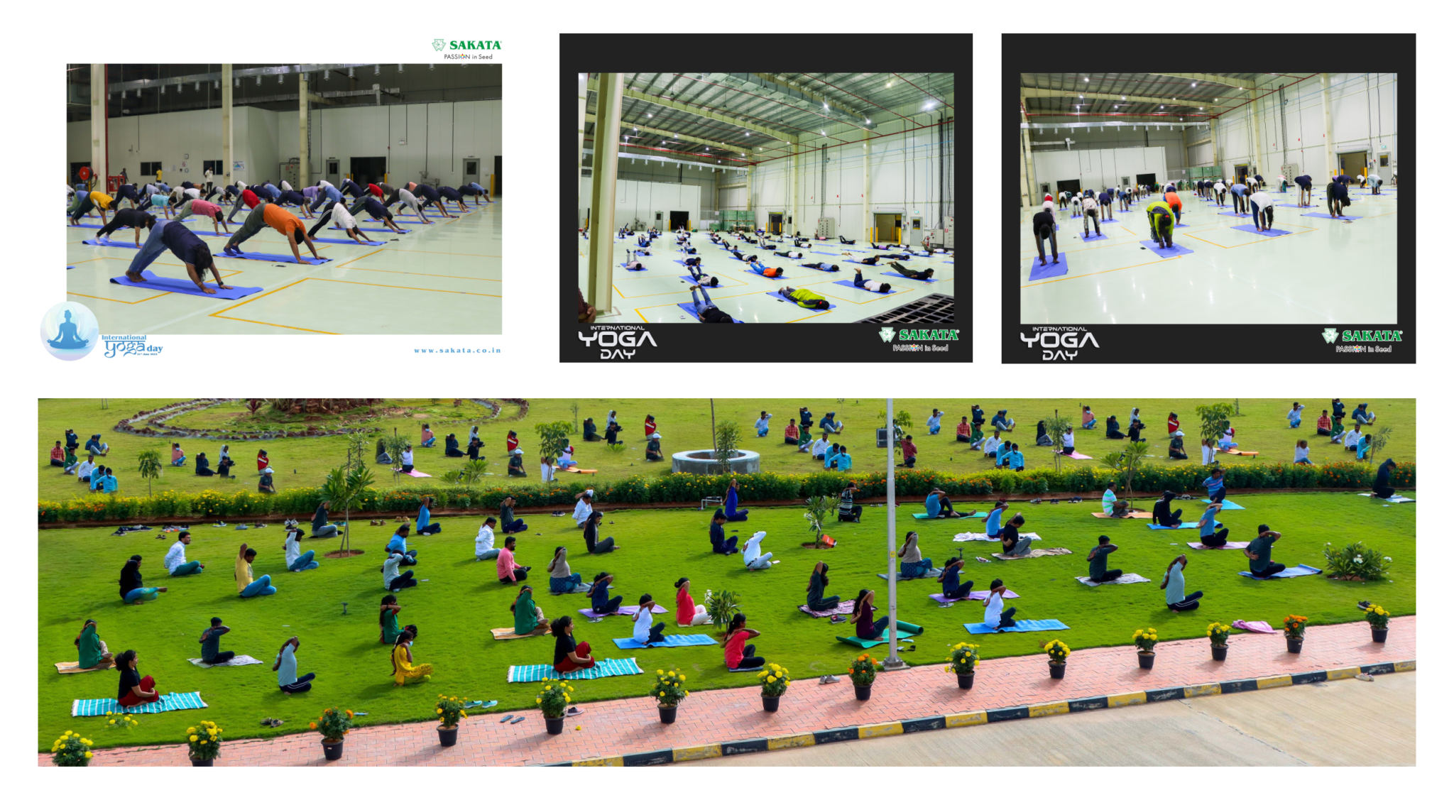 Yoga event by Sakata Seeds India to promote the “Fit India Movement”