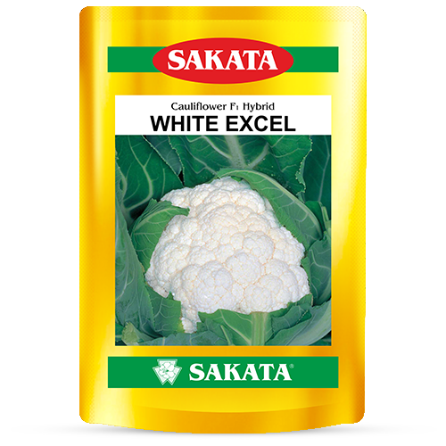 F1 White Excel