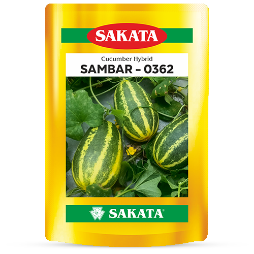 F1 Sambar 0362