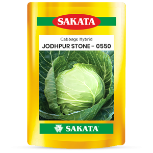 F1 Jodhpur Stone 0550