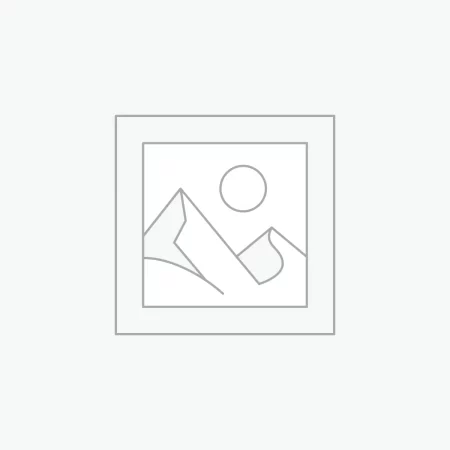 F1 Jodhpur Stone 0550